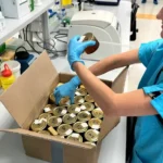 DNA-Analyse deckt auf, was etablierte Methoden nicht sehen
