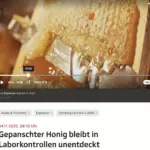 Honigpanscherei im Schweizer Fernsehen: Sendung vom 4.11.25