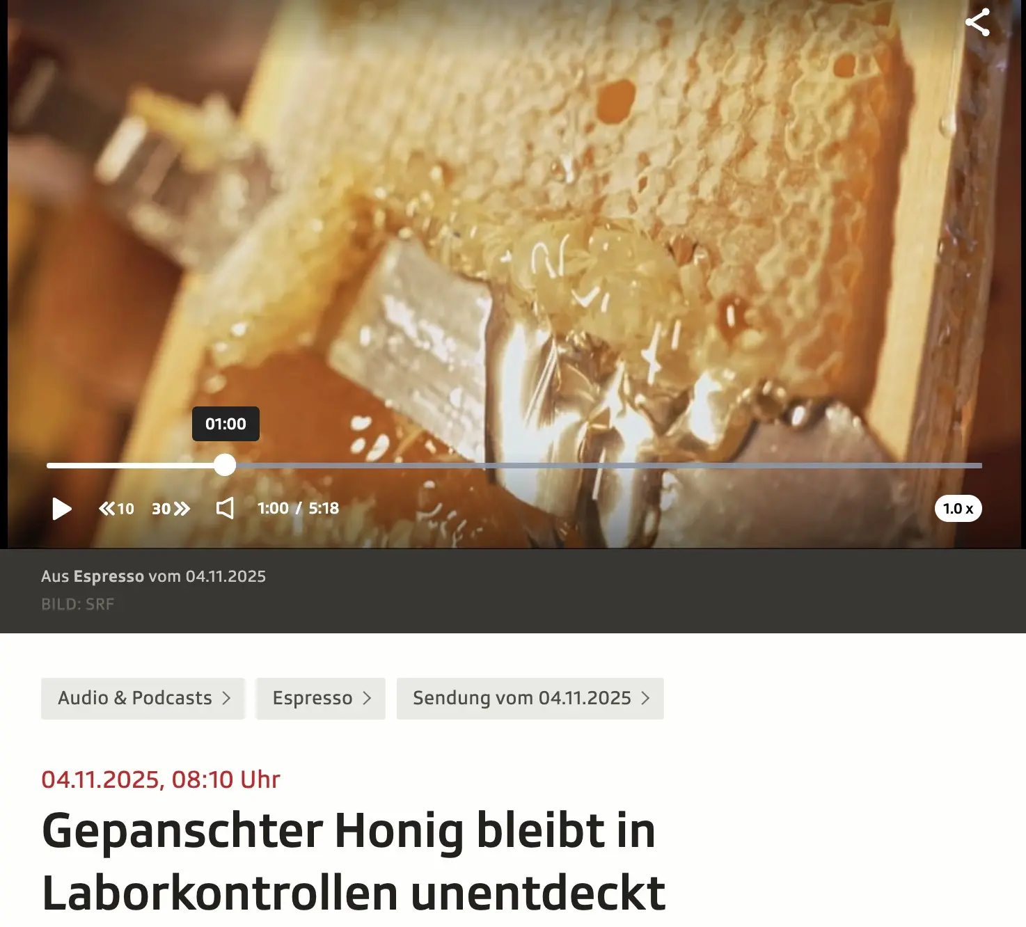 Honigpanscherei im Schweizer Fernsehen: Sendung vom 4.11.25
